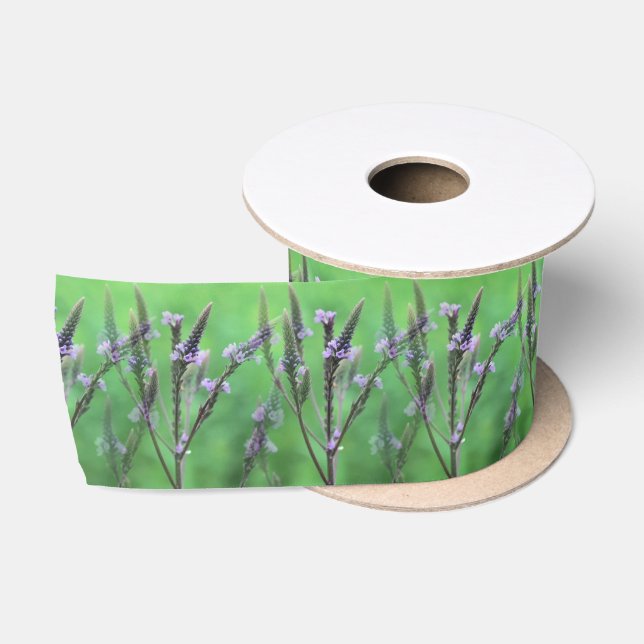 Lila Vervain-Blume multipliziert Satinband (Spule)