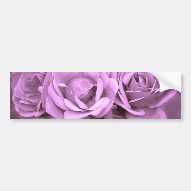 Lila Vintage Rosen Autoaufkleber (Vorne)