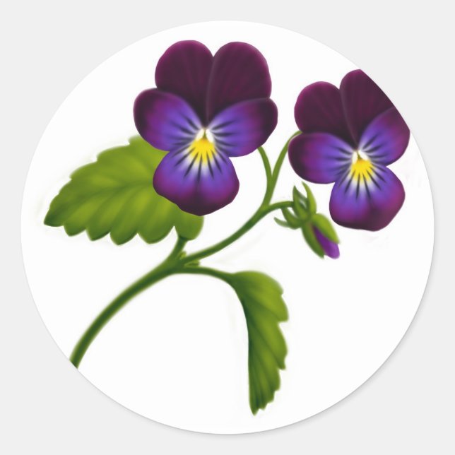 Lila Viola Pansy Blume Runder Aufkleber (Vorderseite)