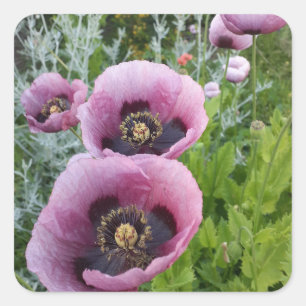 Lila Viola Wasserfarbe Blume Auto Luftfreirer Quadratischer Aufkleber