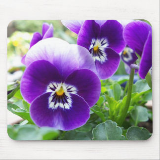 Lila Violas Mousepad