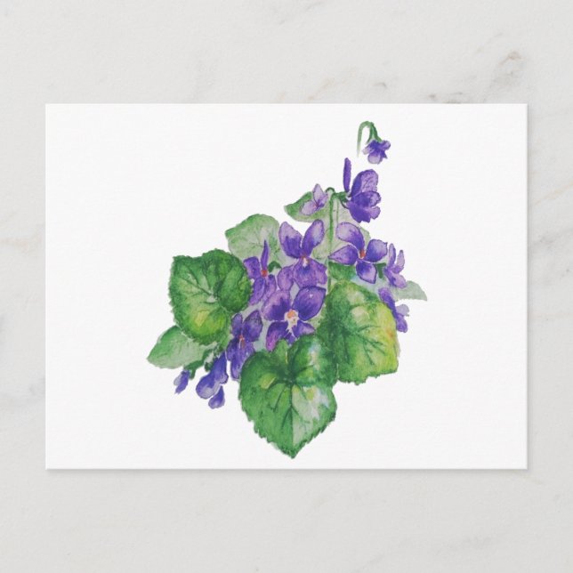Lila Violett-Blume Postkarte (Vorderseite)