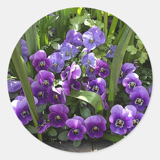 Lila Violetten Runder Aufkleber (Vorderseite)