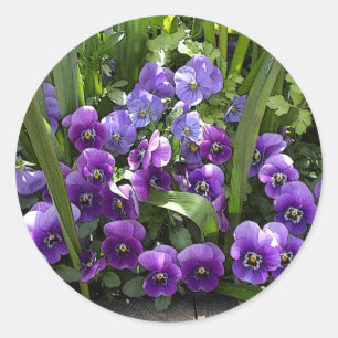 Lila Violetten Runder Aufkleber
