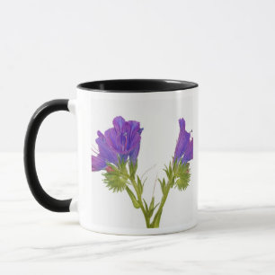 Lila Vipern Bugloss (Echium plantagineum) Tasse