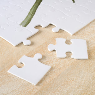 Lila Vögel Martins John James Audubon von Amerika