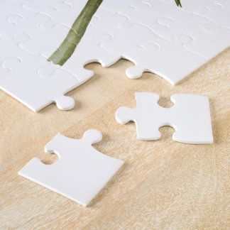 Lila Vögel Martins John James Audubon von Amerika