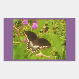 Lila, wackeliger Schwarzmonarch Rechteckiger Aufkleber