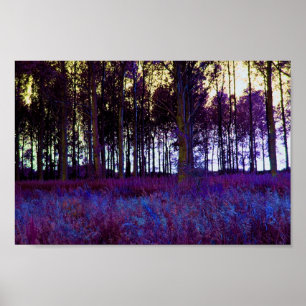 Lila Wald Poster