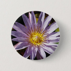 Lila Wasser-Lilien-Knopf Button