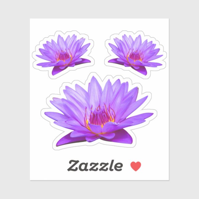 Lila Wasser Lilies Vinyl Sticker (Blatt)