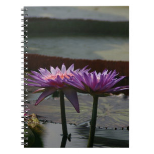 Lila Wasserlilien Lotus Notebook Notizblock