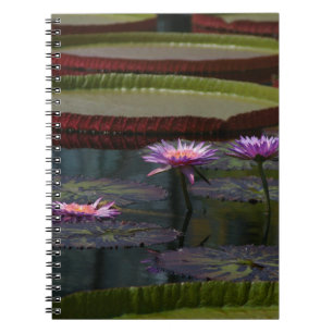 Lila Wasserlilien Lotus Notizblock