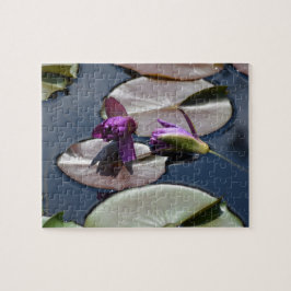 Lila Wasserlilien Puzzle