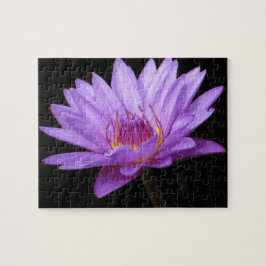Lila Wasserlily-Puzzle