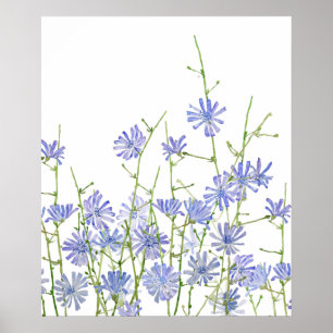 lila Wegwarte Wasserfarbe Poster