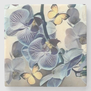 Lila weiße gelbe Orchideen-Blumen-Schmetterling  Steinuntersetzer