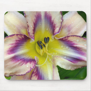 Lila-weiße Lilie Mousepad
