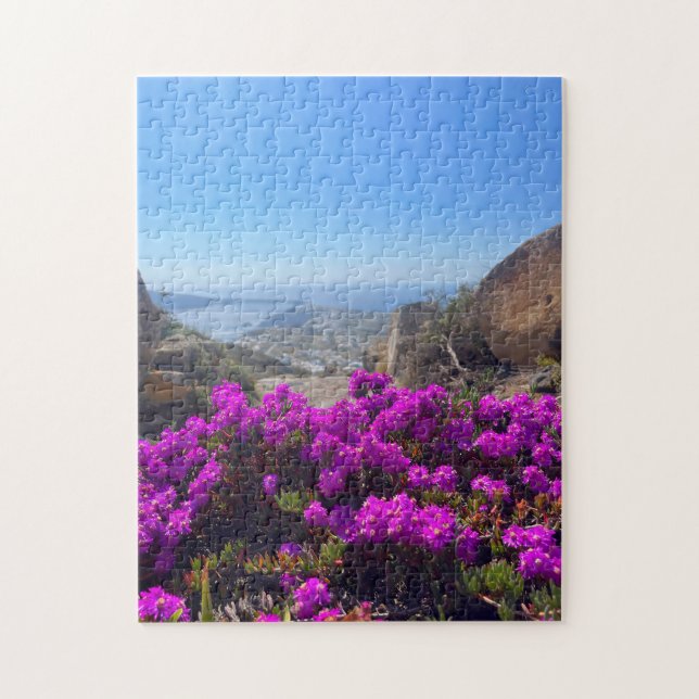 Lila wild lebende Blume Santorini Griechenland Fot (Vertikal)
