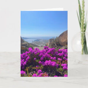 Lila wild lebende Blume Santorini Griechenland Fot Karte