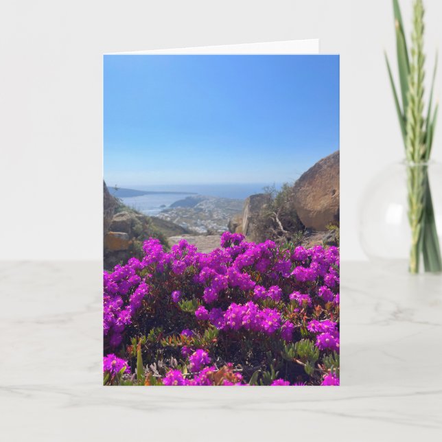 Lila wild lebende Blume Santorini Griechenland Fot Karte (Vorderseite)