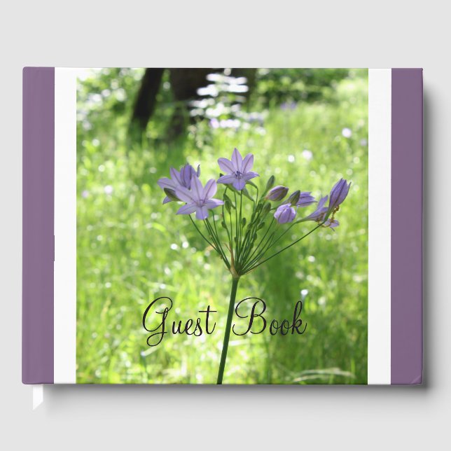 Lila Wildblume Gästebuch (Vorderseite)