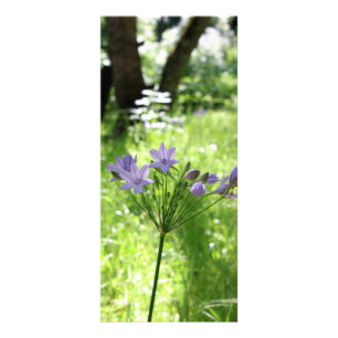 Lila Wildblume-Gestell-Karte Werbekarte