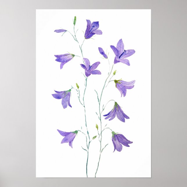 lila Wildblume Harebell Poster (Vorne)