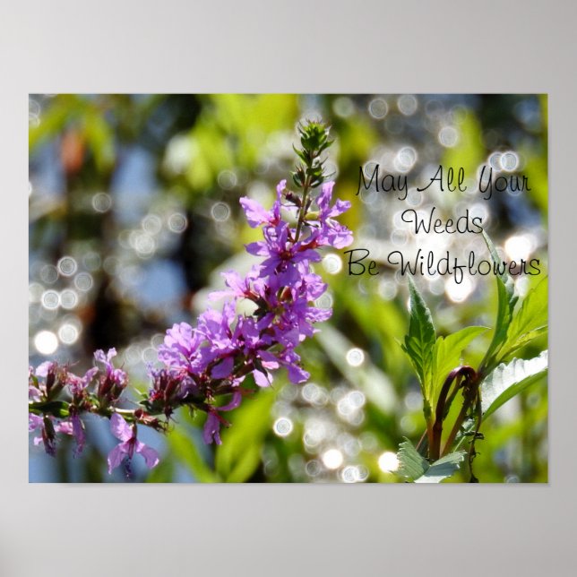 Lila Wildblume Zitat Poster (Vorne)