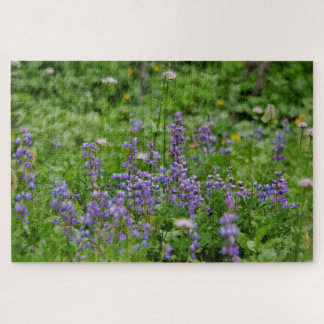 Lila Wildblumen