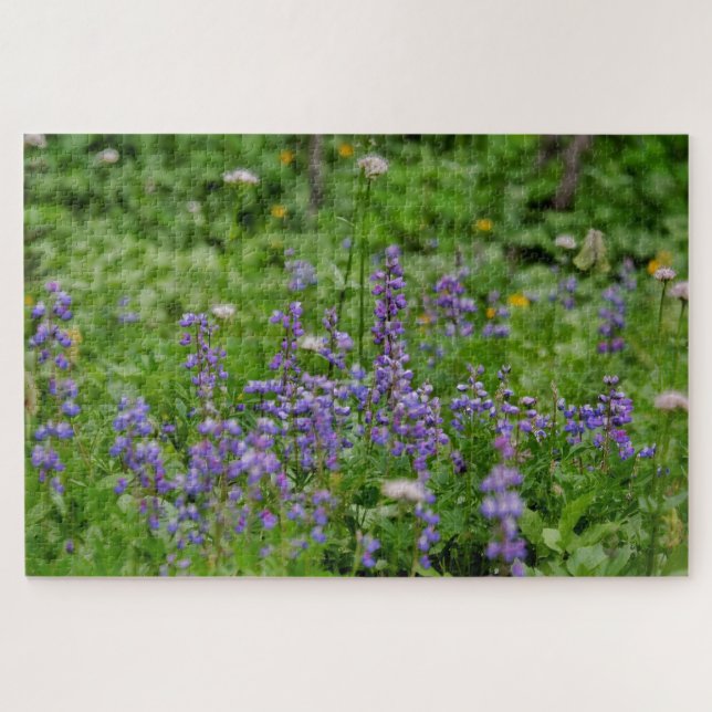 Lila Wildblumen (Horizontal)