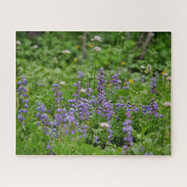 Lila Wildblumen (Horizontal)