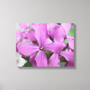 Lila Wildblumen Canvas Print Leinwanddruck