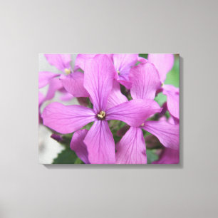 Lila Wildblumen Canvas Print Leinwanddruck
