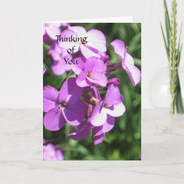 Lila Wildblumen Denken Sie an Sie Karte