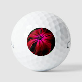 Lila Wilde Blume css gbcnm Golfball