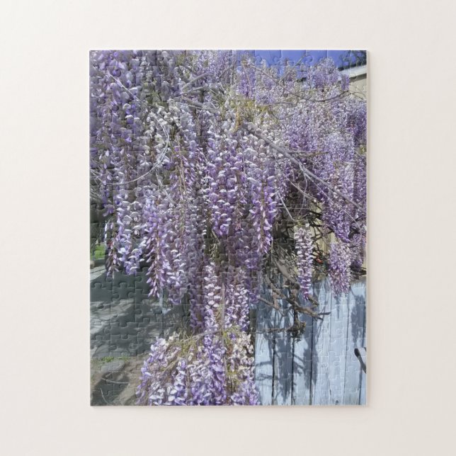 Lila Wisteria (Vertikal)