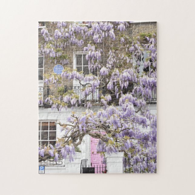 Lila Wisteria Blume Kensington Chelsea London (Vertikal)