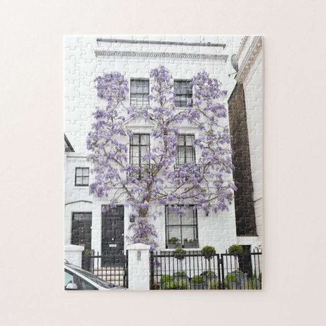 Lila Wisteria Blume Kensington Chelsea London (Vertikal)