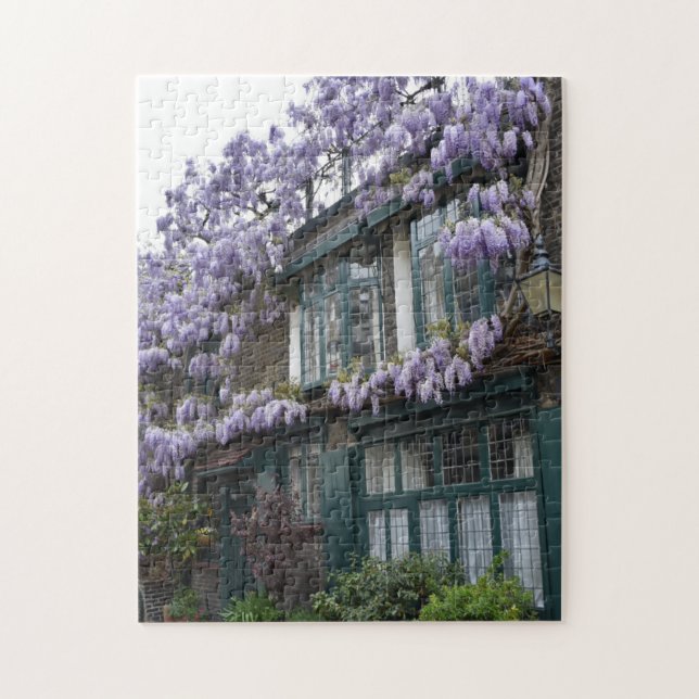 Lila Wisteria Blume Kensington Chelsea London (Vertikal)