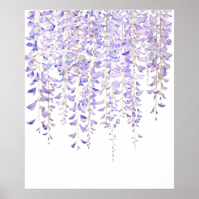 lila Wisteria in blühender Wasserfarbe 2021 Poster (Vorne)