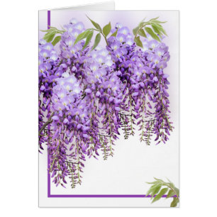 Lila Wisteria-Karte
