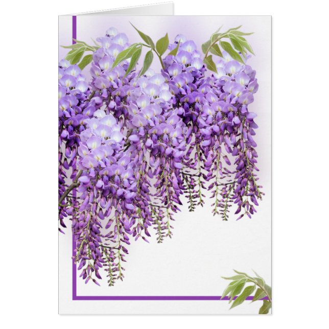 Lila Wisteria-Karte (Vorne)