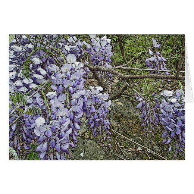 Lila Wisteria-koordiniereneinzelteile (Vorderseite (Horizontal))