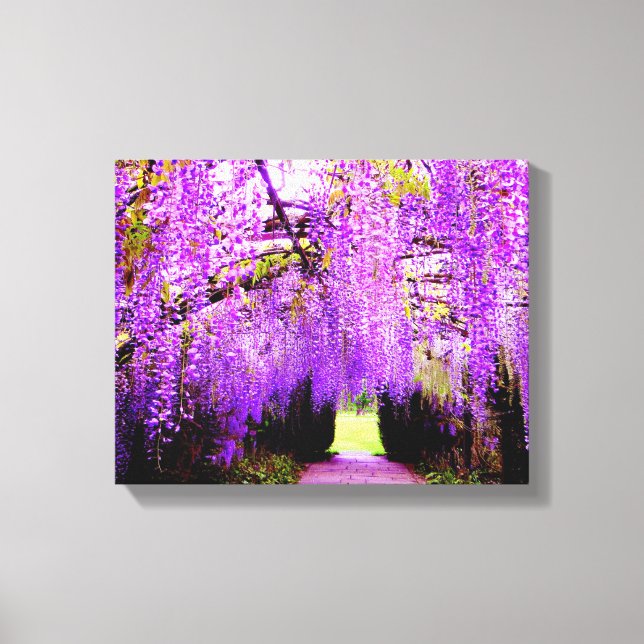 Lila Wisteria Locarno Leinwanddruck (Vorderseite)