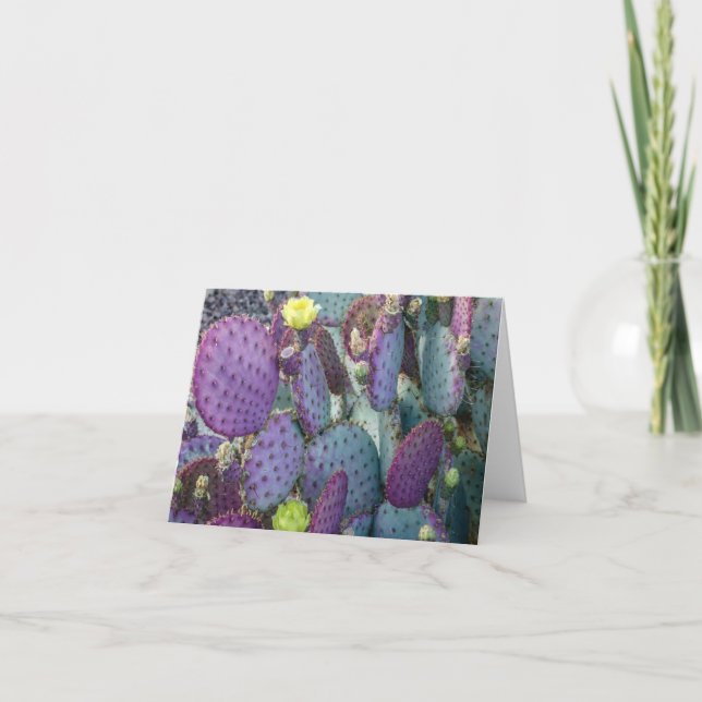 Lila Zahnkaktus mit gelben Blumen Note Card Dankeskarte (Vorderseite)