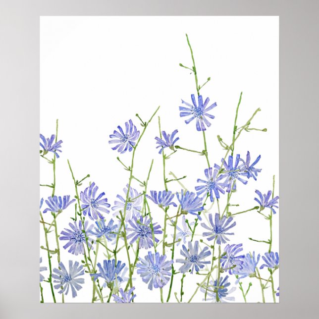 lila Zichorienfarbe Poster (Vorne)