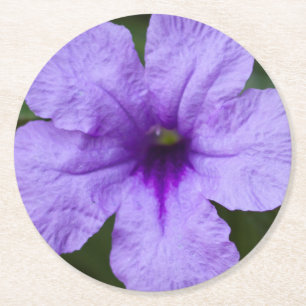 Lila Zwerg mexikanische Petunia Runder Pappuntersetzer