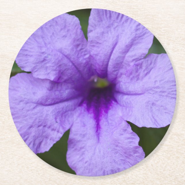 Lila Zwerg mexikanische Petunia Runder Pappuntersetzer (Vorderseite)