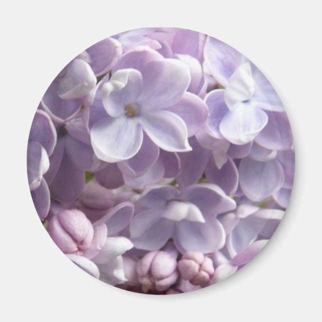 Lilac Blossoms Magnet (Vorne)